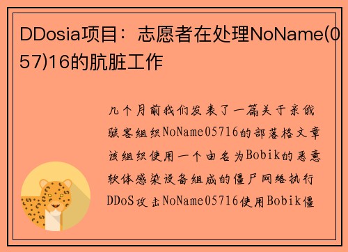 DDosia项目：志愿者在处理NoName(057)16的肮脏工作 